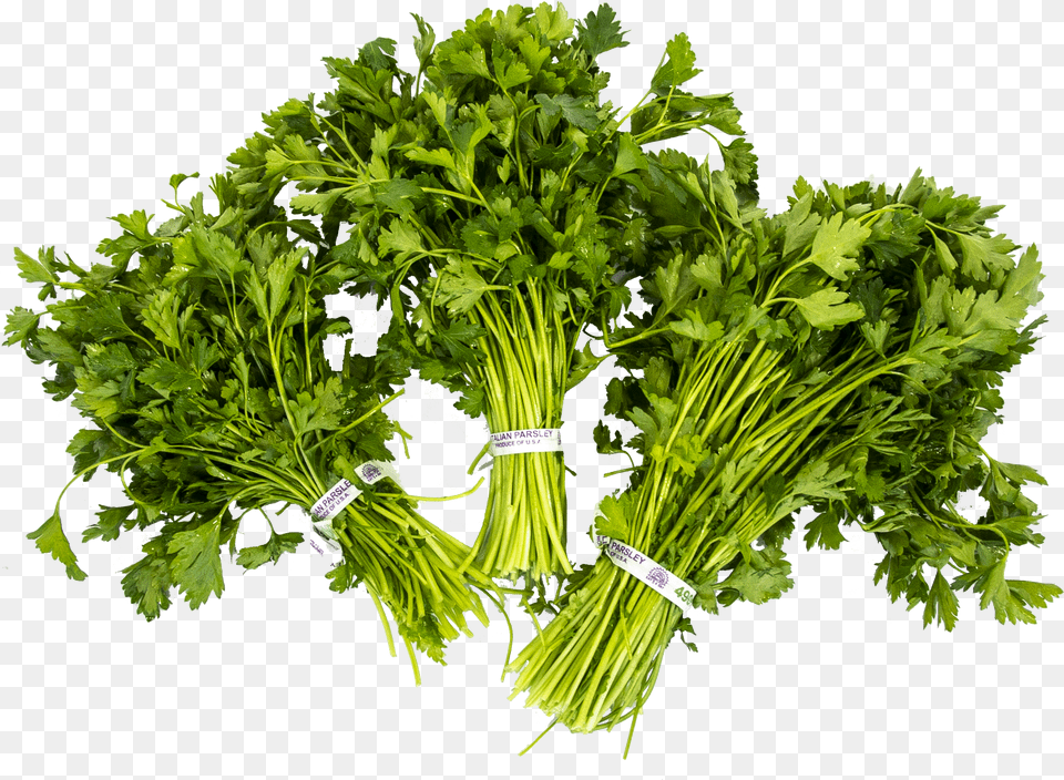 Parsley Free Png