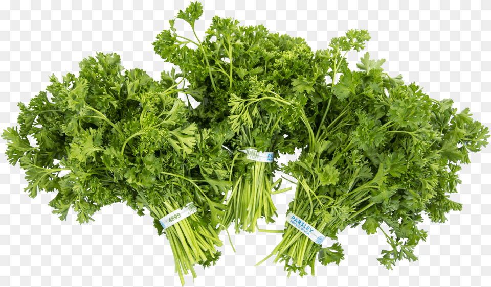 Parsley Free Png Download