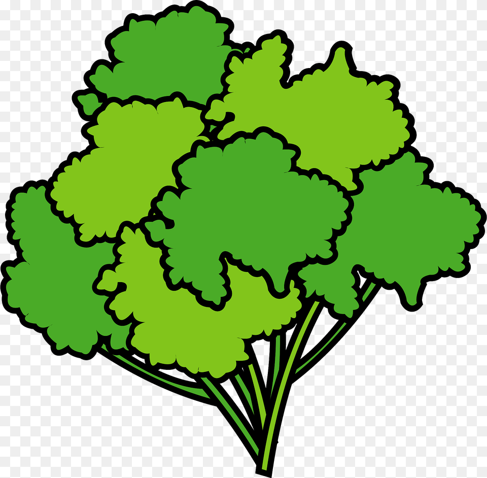Parsley Clipart, Green, Food, Produce, Face Png