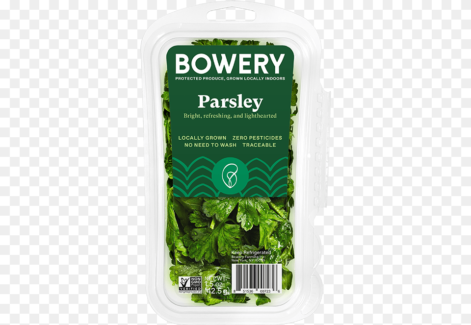 Parsley Coriander, Produce, Food, Vegetable, Spinach Png