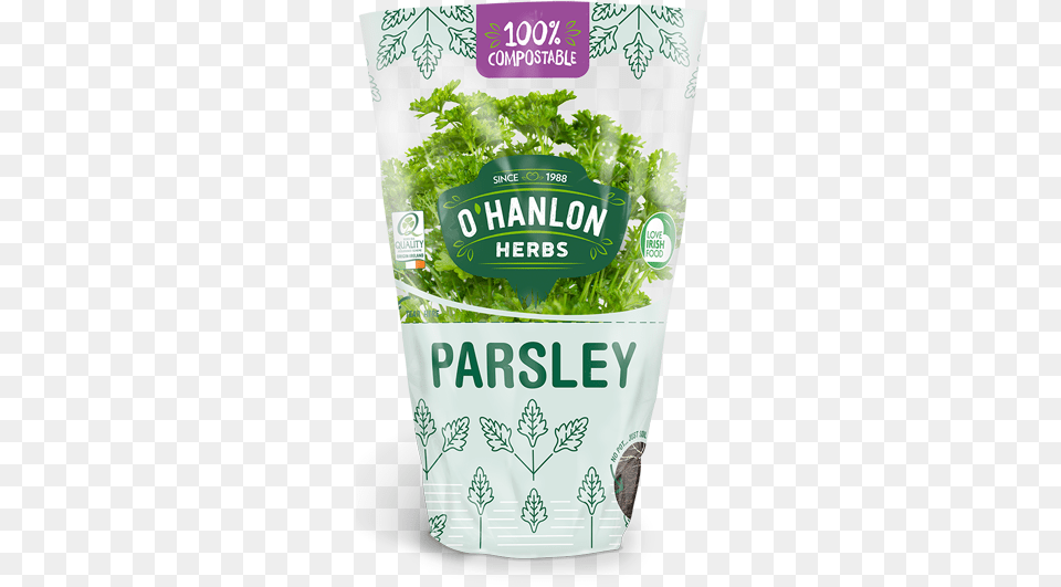 Parsley Herb Coriander, Herbal, Herbs, Plant, Can Png Image