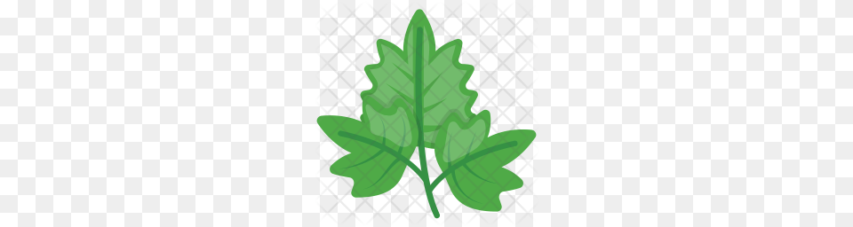 Parsley Icon Download, Leaf, Plant, Tree, Food Png Image