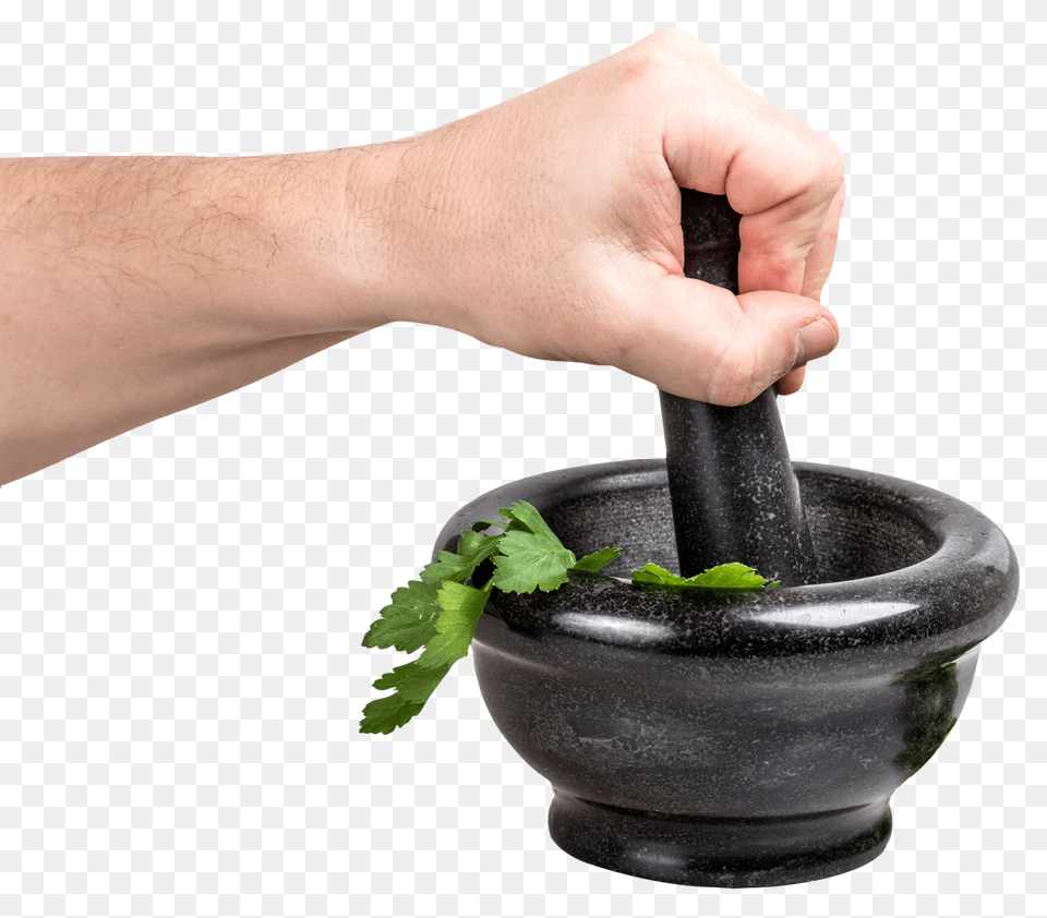 Parsley In Bowl, Weapon, Cannon, Plant, Herbs Png Image