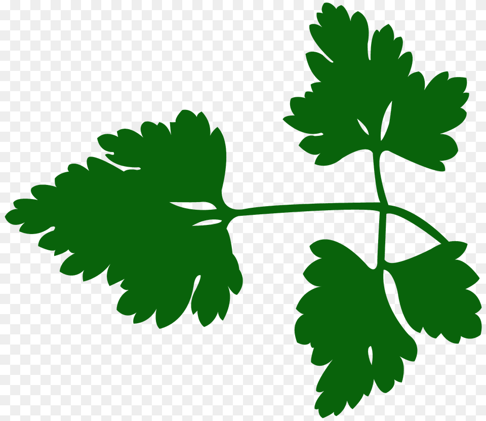 Parsley Leaf Silhouette, Herbs, Plant Free Transparent Png