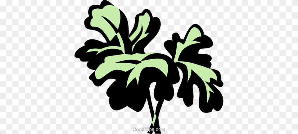 Parsley Royalty Vector Clip Art Illustration, Leaf, Plant, Herbs, Flower Free Png Download