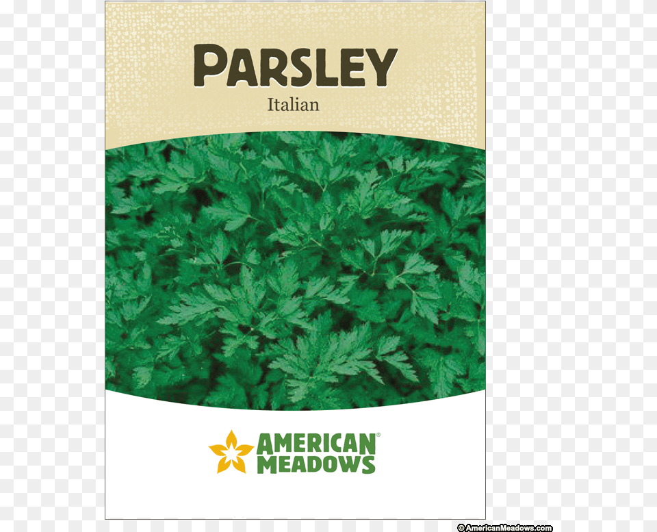 Parsley Seed Packet Italian Parsley Seed Popular Herb And Tasty Ingredient, Herbal, Herbs, Plant Free Png