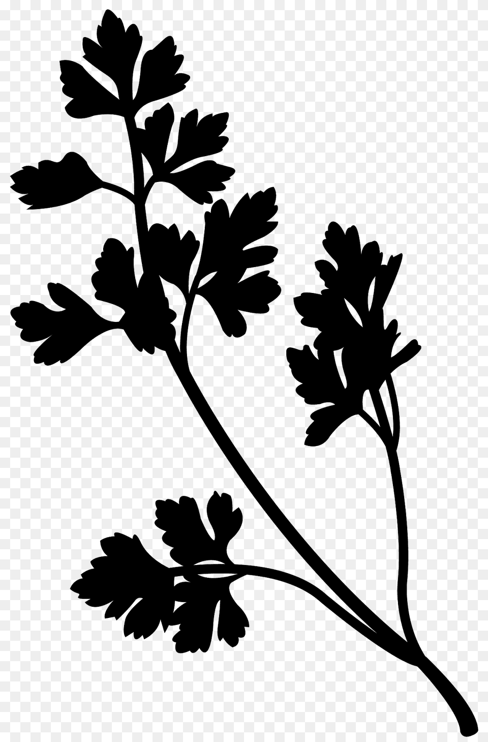 Parsley Silhouette, Herbs, Plant Free Png Download