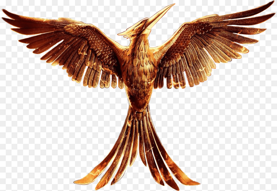 Part 1 Mockingbird Logo Hunger Games Full Size Mockingjay, Animal, Beak, Bird, Flying Free Png