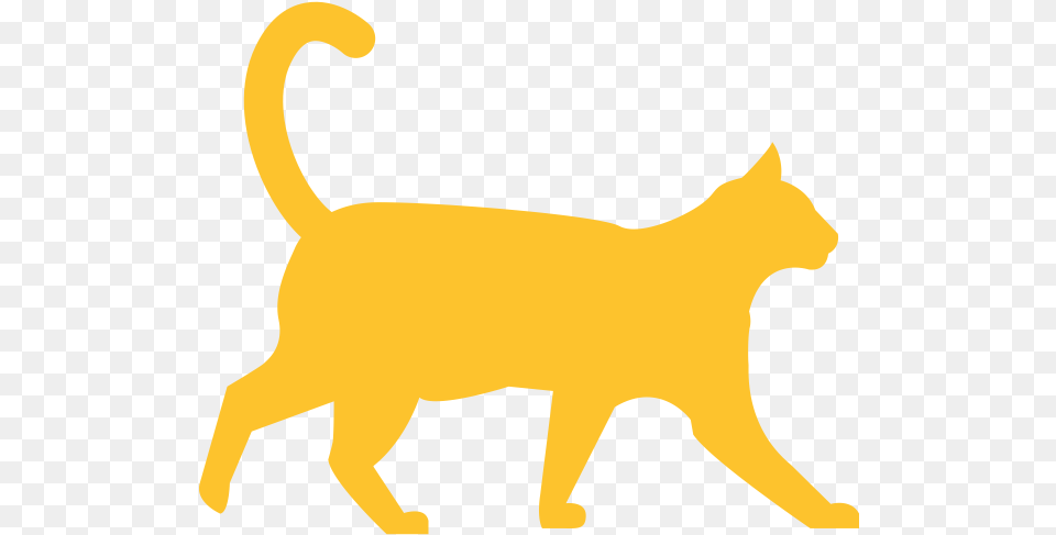 Part 2 Feline Eye Disease Often Overlooked Orange County Cat Silhouette Transparent Background, Animal, Mammal, Pet, Kangaroo Png Image