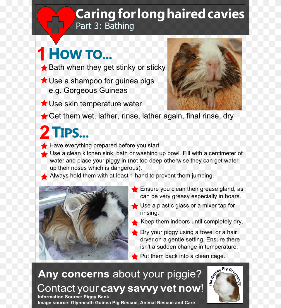 Part 3 In Our Three Part Health Series On Looking After, Advertisement, Poster, Animal, Mammal Free Transparent Png