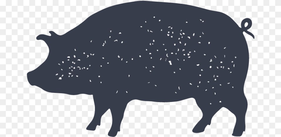 Part Of The Pork Body, Animal, Boar, Hog, Mammal Free Png