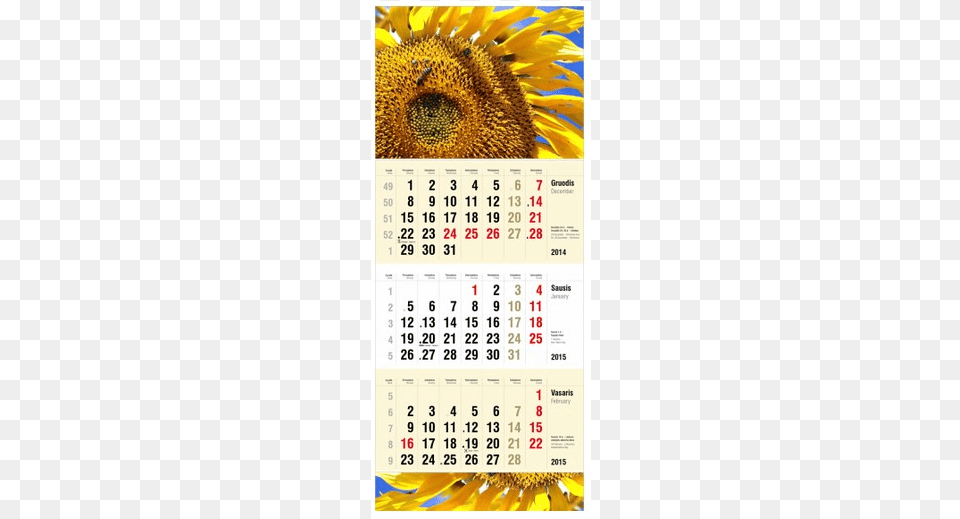 Part Wall Calendars Printer, Text, Scoreboard, Flower, Plant Png Image