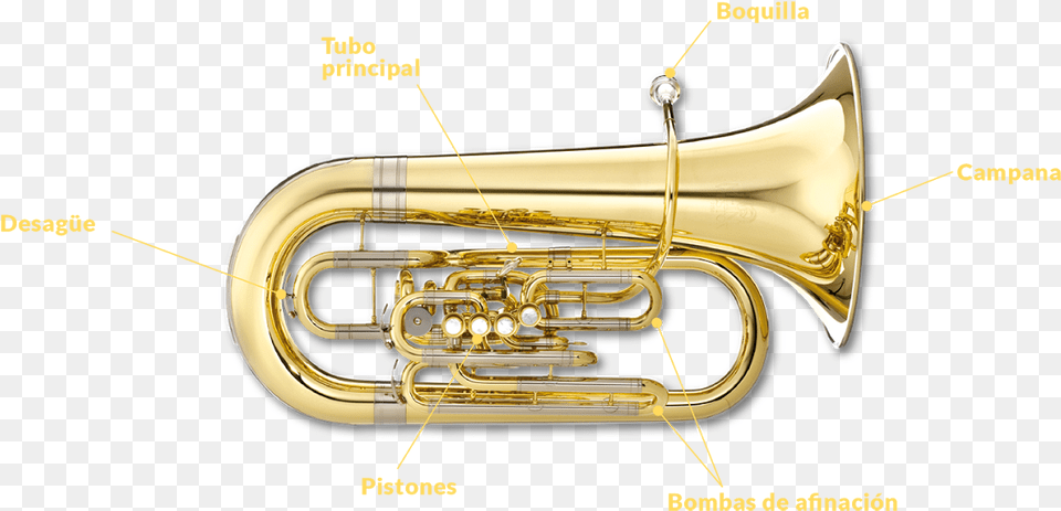 Partes De La Tuba, Brass Section, Horn, Musical Instrument, Flugelhorn Free Png Download