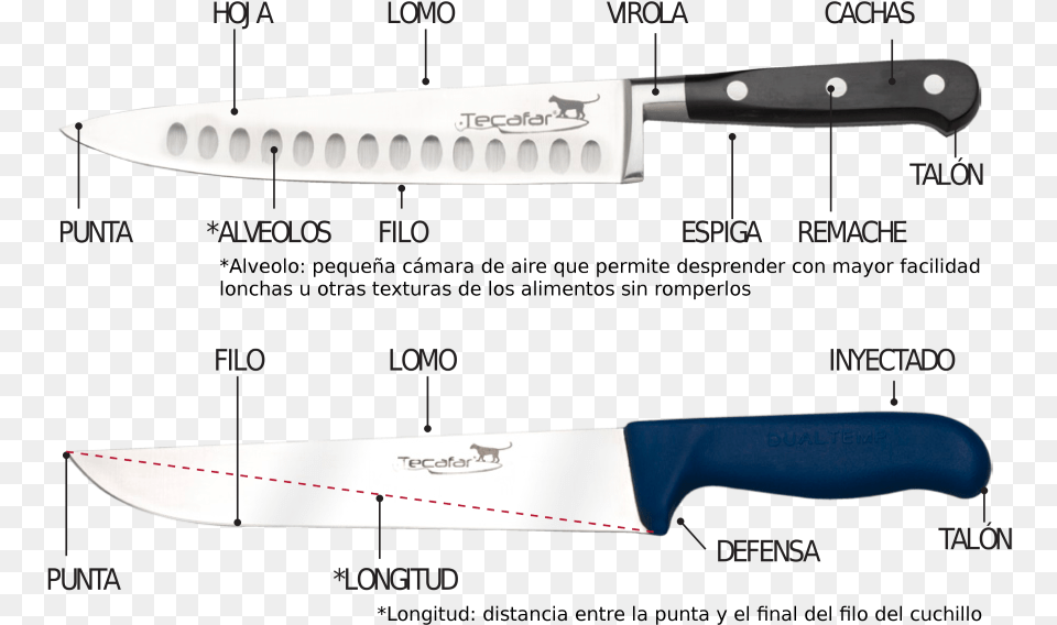 Partes De Un Cuchillo Bowie Knife, Blade, Cutlery, Weapon, Dagger Png Image