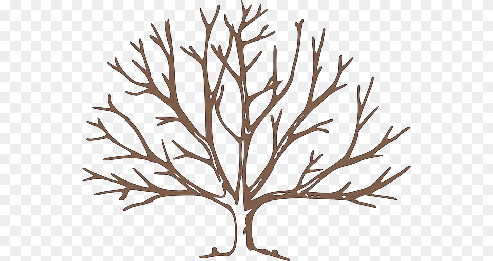 Partes Del Rbol Frutal Fall Tree Clipart, Plant, Art, Leaf, Drawing Free Png