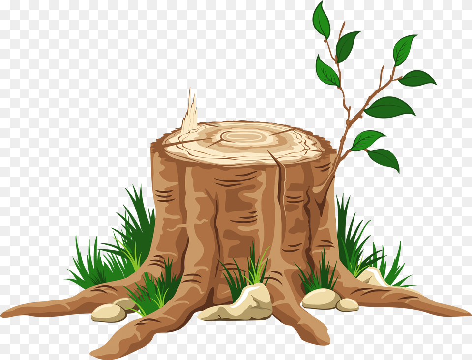 Partial Tree Trunk Free Tree Stump Transparent Background, Plant, Tree Stump, Person Png Image