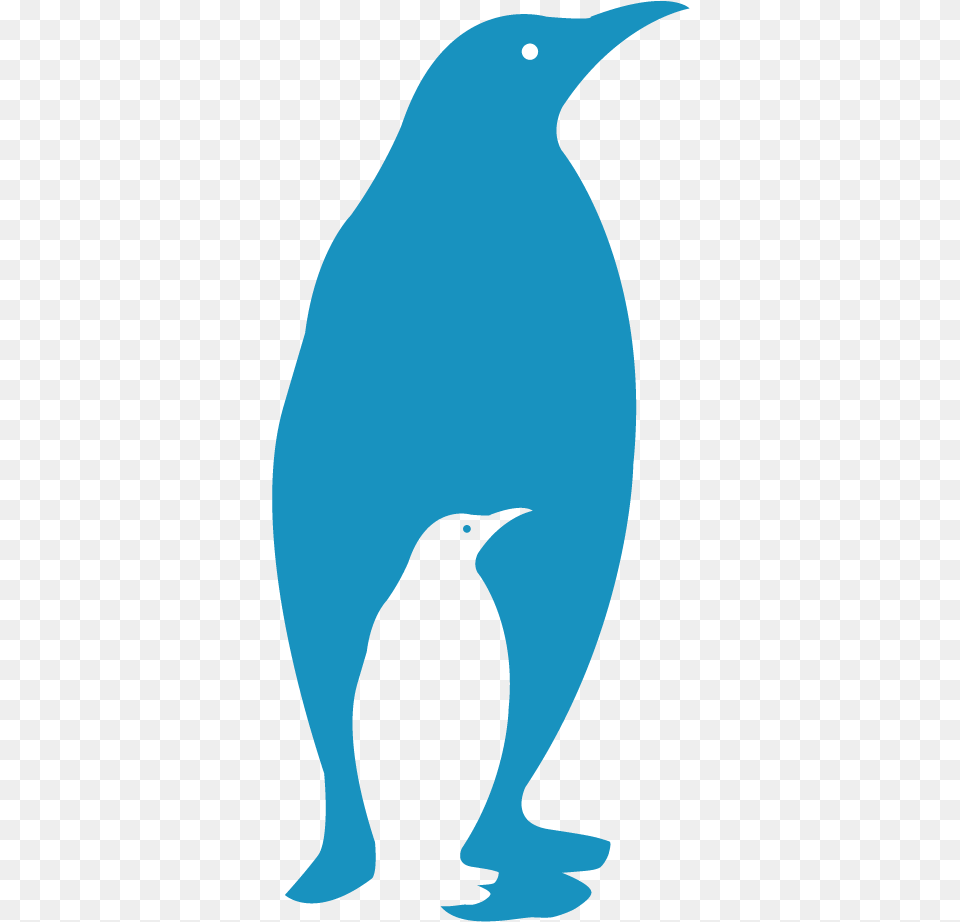 Participation Penguin, Animal, Beak, Bird, Blackbird Free Transparent Png