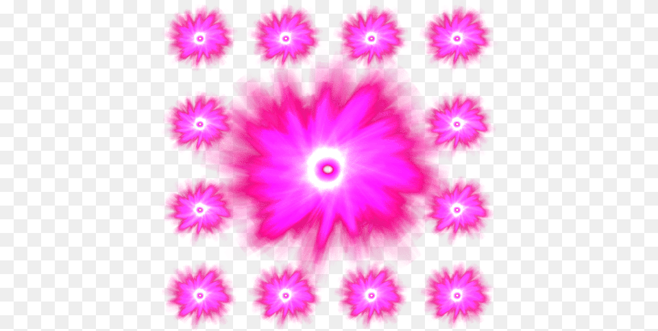Particle Effects Flower, Petal, Plant, Geranium, Hibiscus Free Png Download