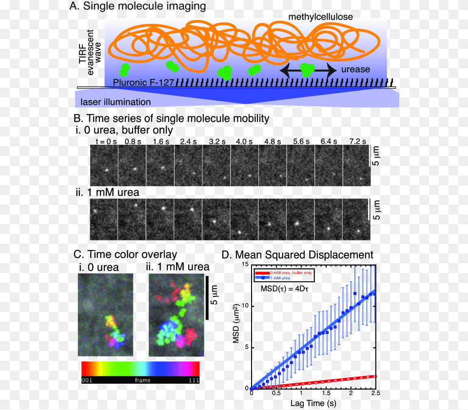 Particle Overlay, Chart, Plot Png