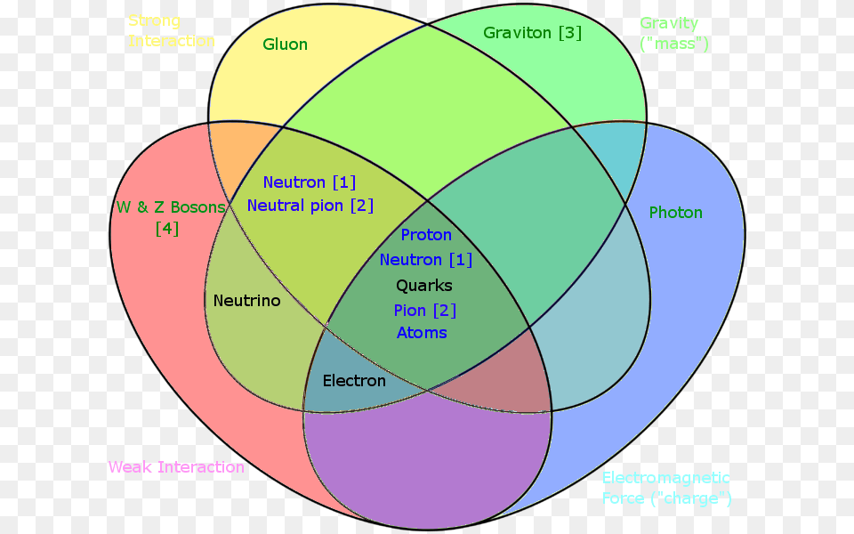 Particles By Fundamental Interactions Interaction Of Elementary Particles, Diagram, Venn Diagram Png
