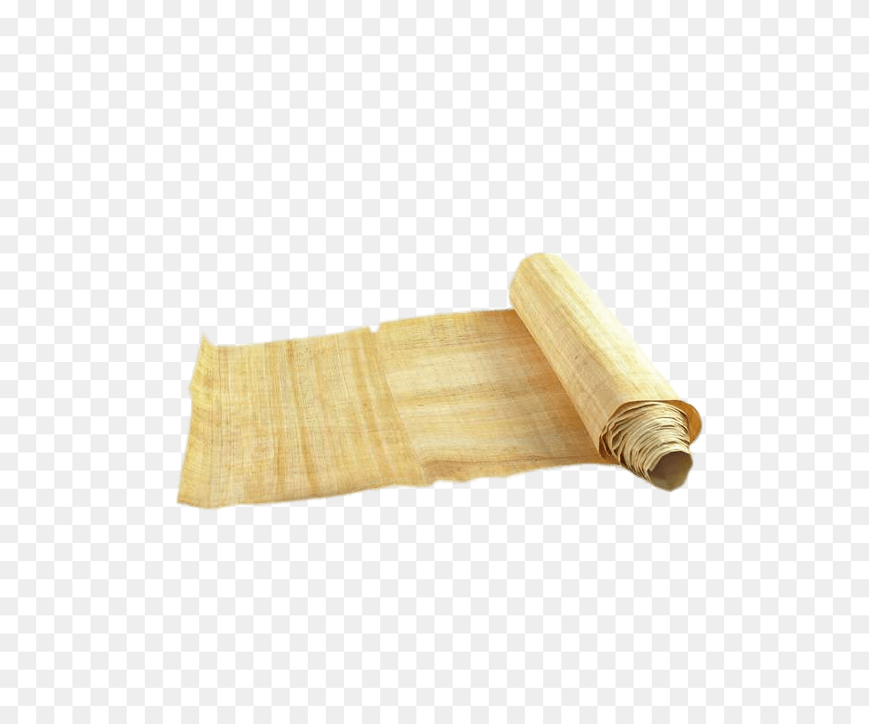 Partly Unrolled Papyrus Roll, Text, Wood, Document Free Transparent Png