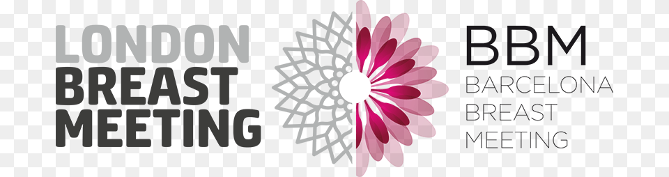 Partnership With Lbm Logo, Flower, Art, Daisy, Petal Png Image