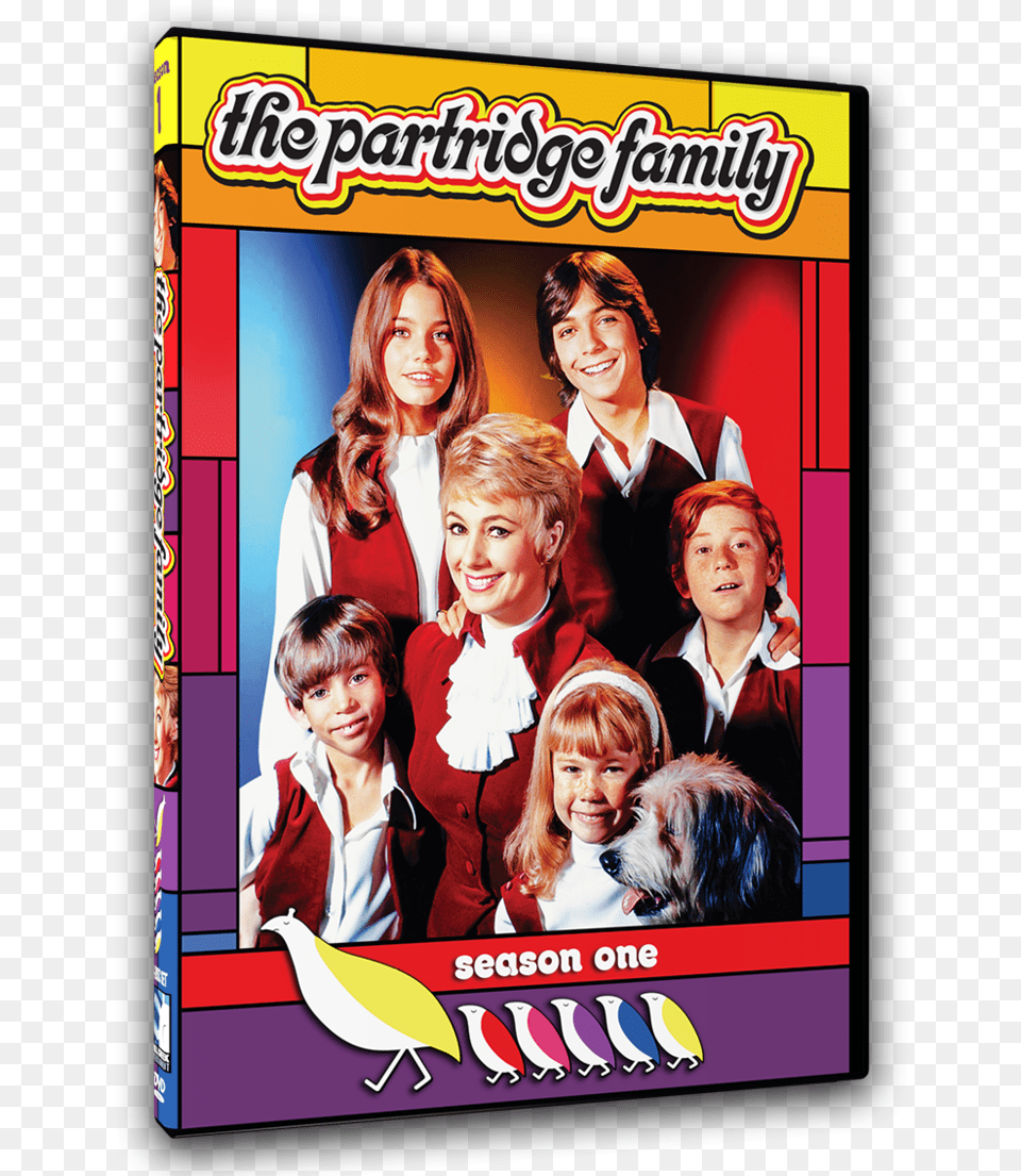 Partridge Family Cast, Adult, Poster, Person, Female Png