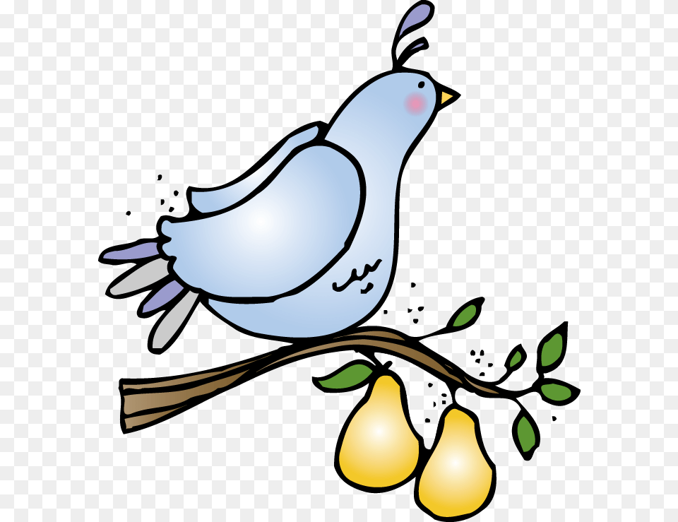 Partridge In A Pear Tree Clip Art Partridge In A Pear Tree Clip, Animal, Bird, Pigeon, Dove Free Png