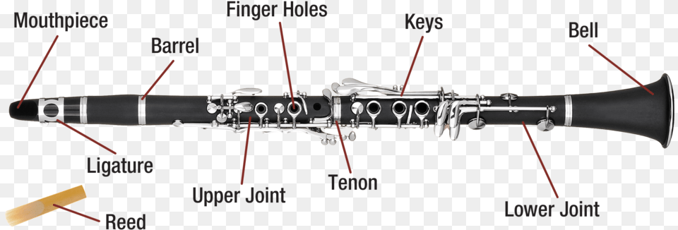 Parts Of A Clarinet With Diagram, Musical Instrument, Oboe Free Png