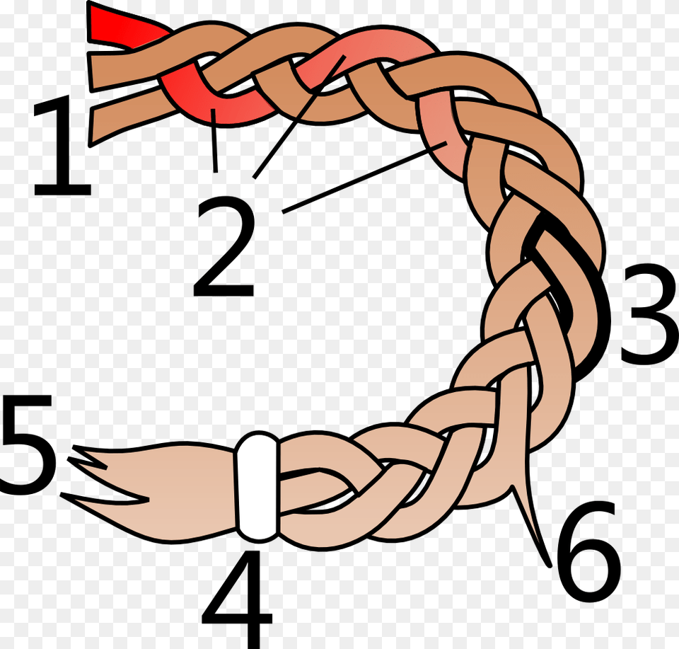 Parts Of A Hair Braid Parts Of A Braid, Accessories, Bracelet, Jewelry, Knot Free Png Download