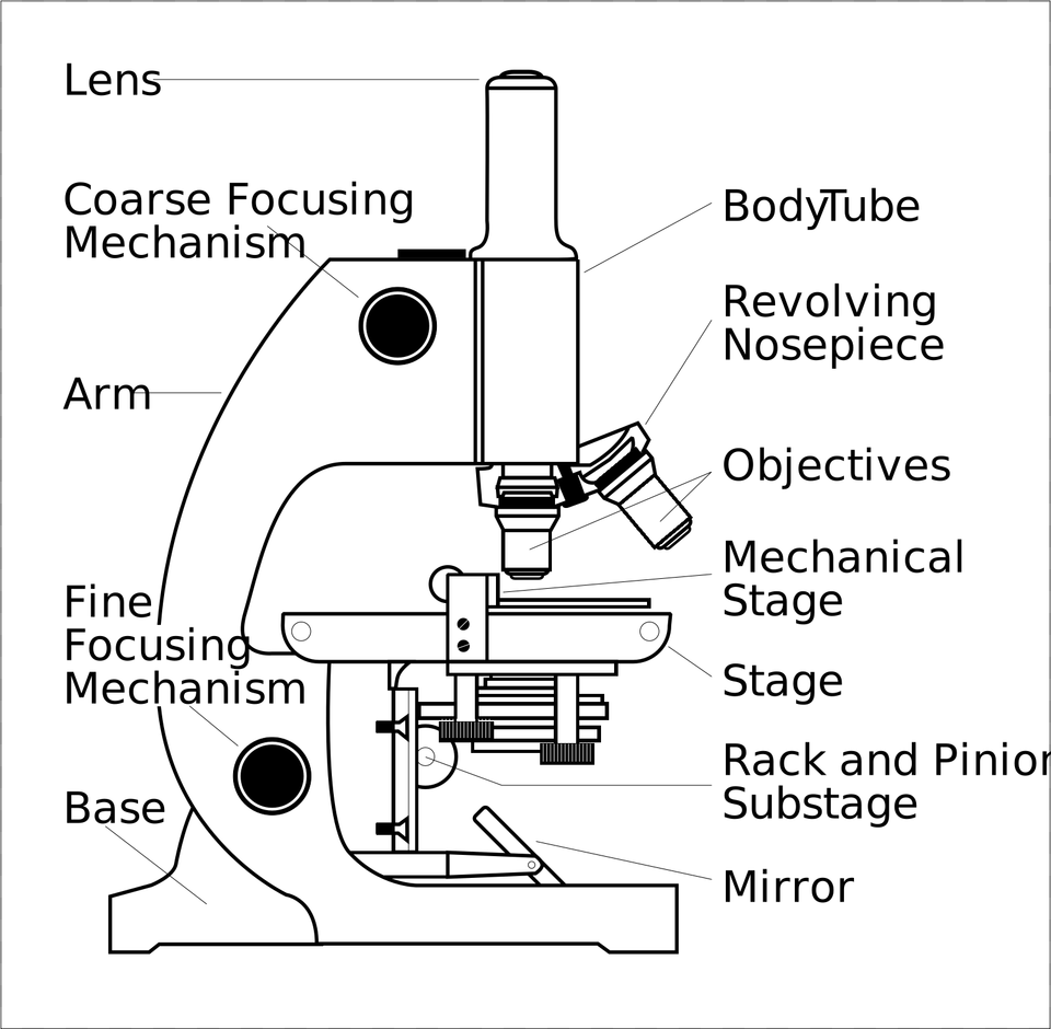 Parts Of A Microscope Clipart, Bulldozer, Machine Png Image