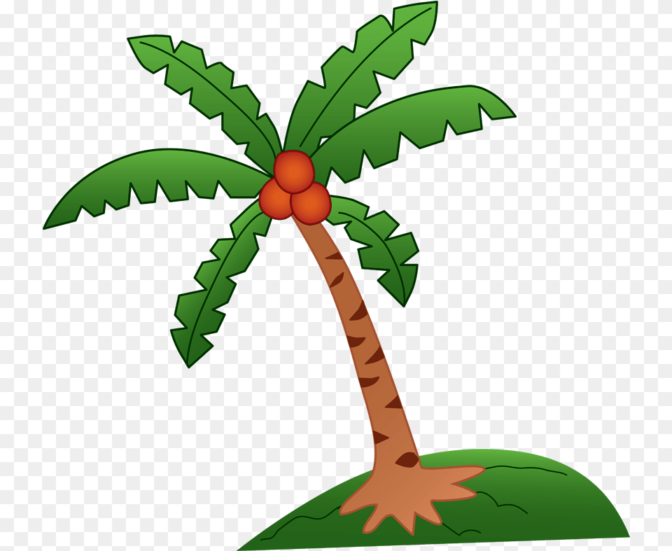 Parts Of A Plant Clipart Coconut Tree Clipart, Vegetation, Palm Tree, Leaf, Outdoors Png