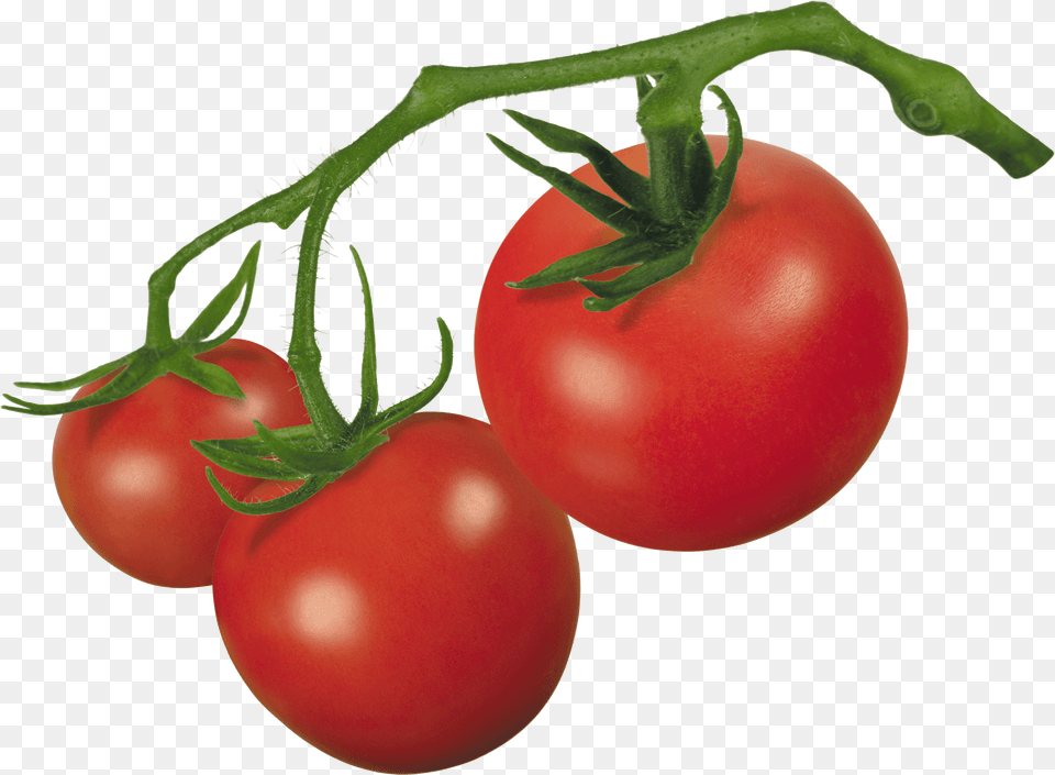 Parts Of A Tomato Plant Tomato Clipart, Food, Produce, Vegetable, Fruit Free Transparent Png