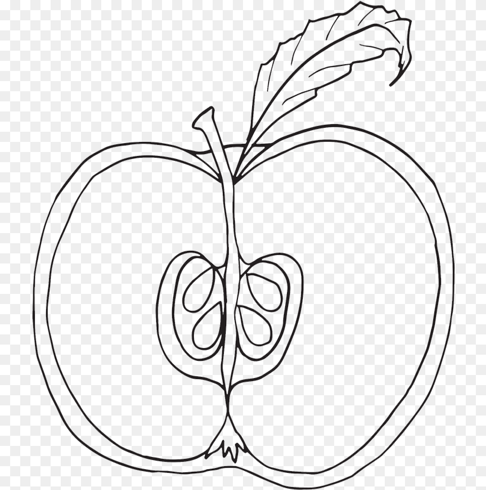 Parts Of An Apple Coloring Pages Nomenclature Cards Parts Of An Apple Coloring Page, Art, Drawing, Text, Smoke Pipe Free Transparent Png
