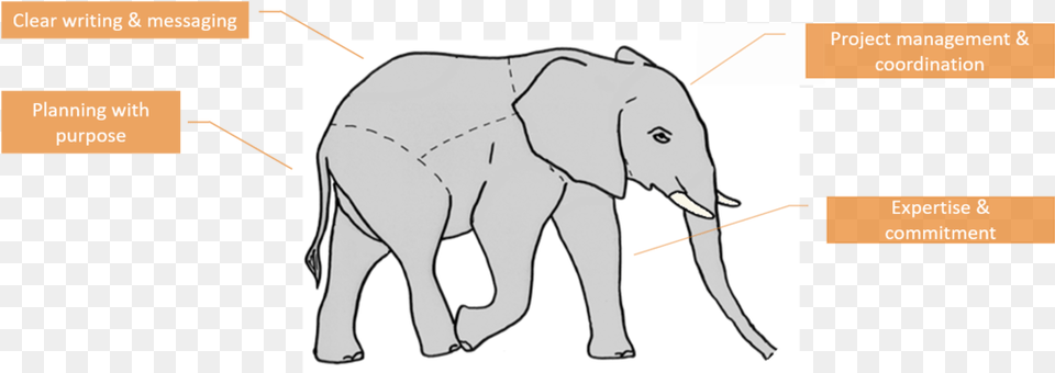Parts Of An Maa Elephant Indian Elephant, Animal, Mammal, Wildlife Png