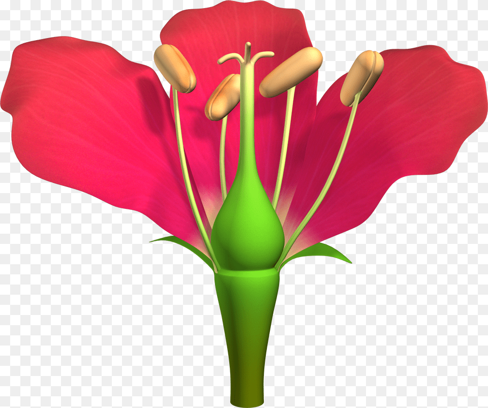 Parts Of Flower 01 Lit Free Transparent Png