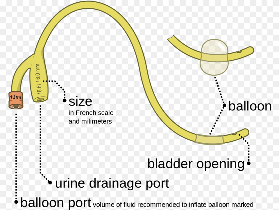 Parts Of Foley39s Catheter, Smoke Pipe, Electronics Png Image