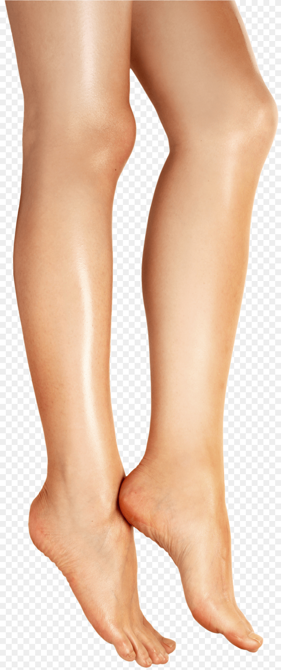Parts Of The Body Leg, Adult, Ankle, Body Part, Female Png