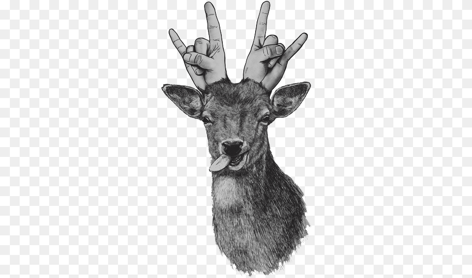 Party Animal Deer Icon Tumblr, Finger, Body Part, Person, Hand Free Png Download