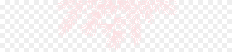 Party Fireworks, Weather, Tree, Plant, Outdoors Free Png Download