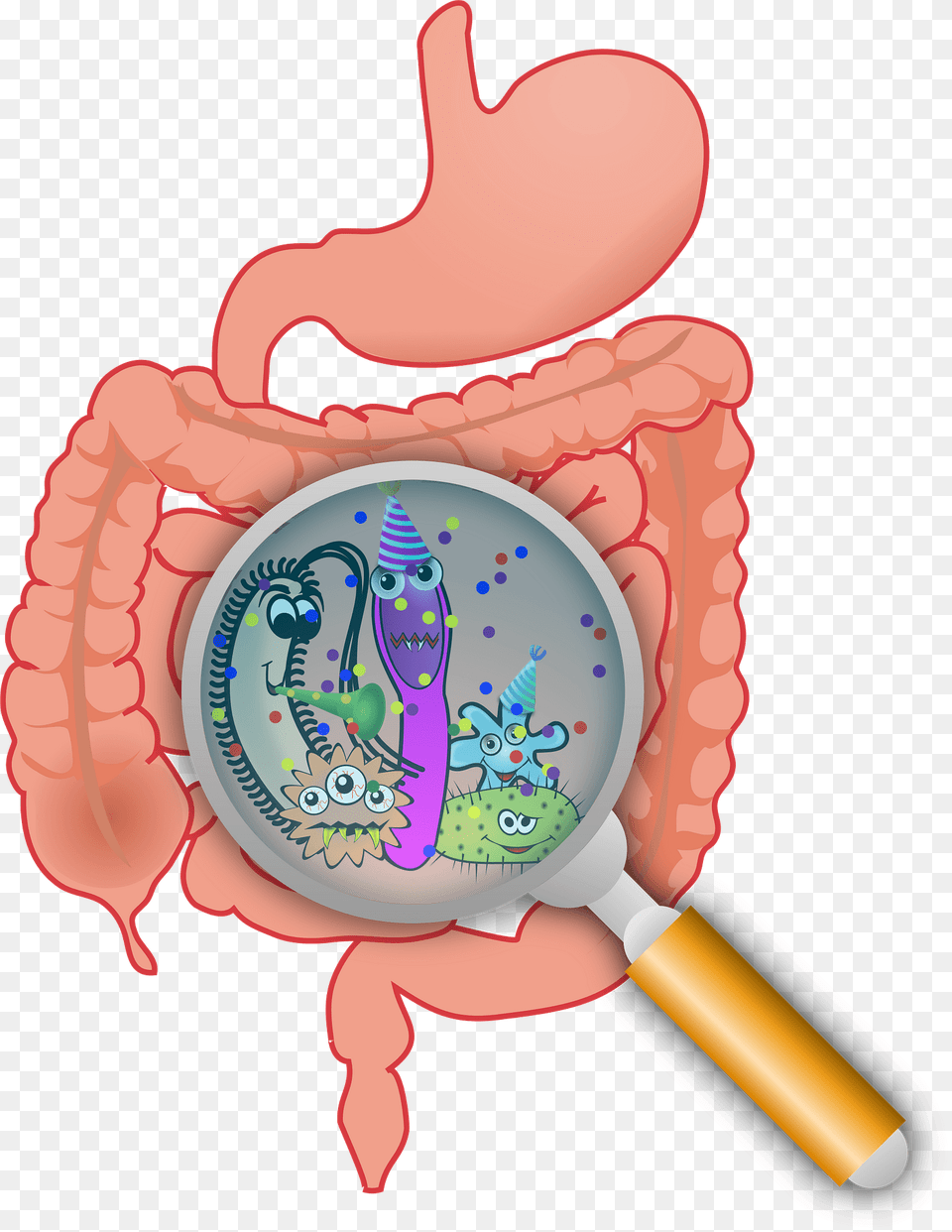 Party In The Intestines Clipart, Magnifying, Food, Ketchup, Dynamite Png