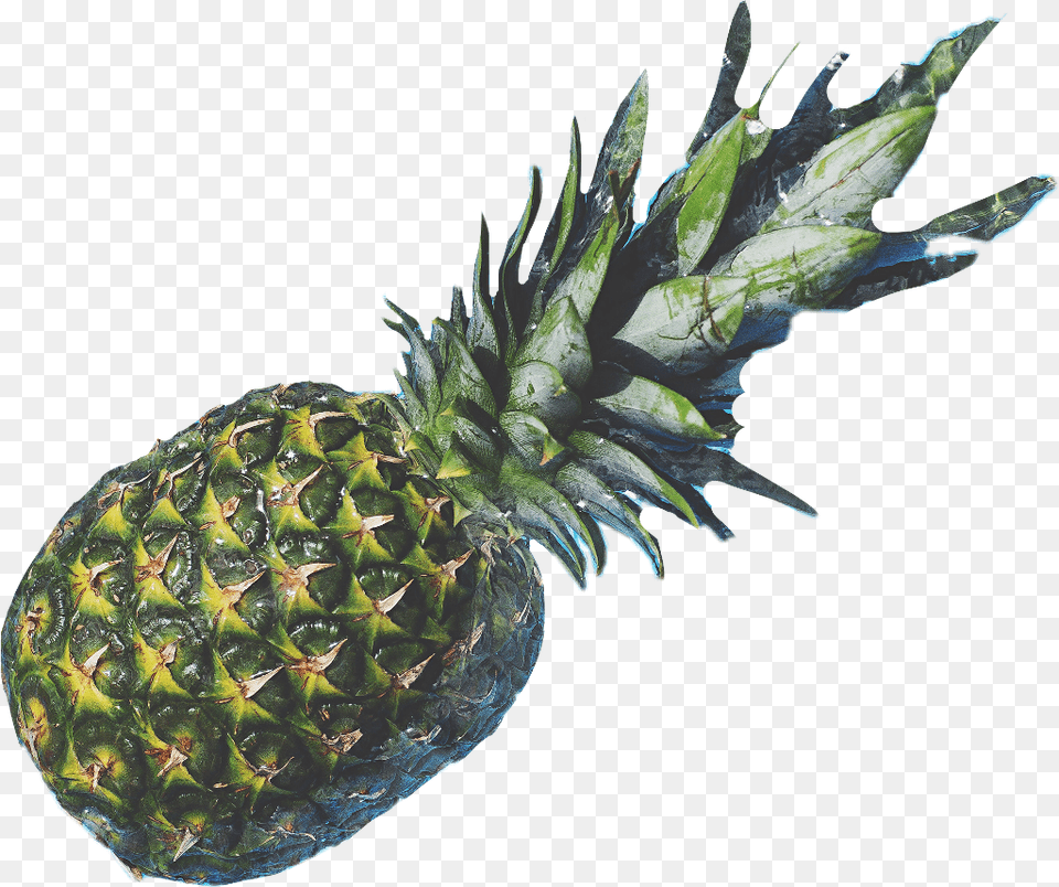 Party People, Food, Fruit, Pineapple, Plant Png Image