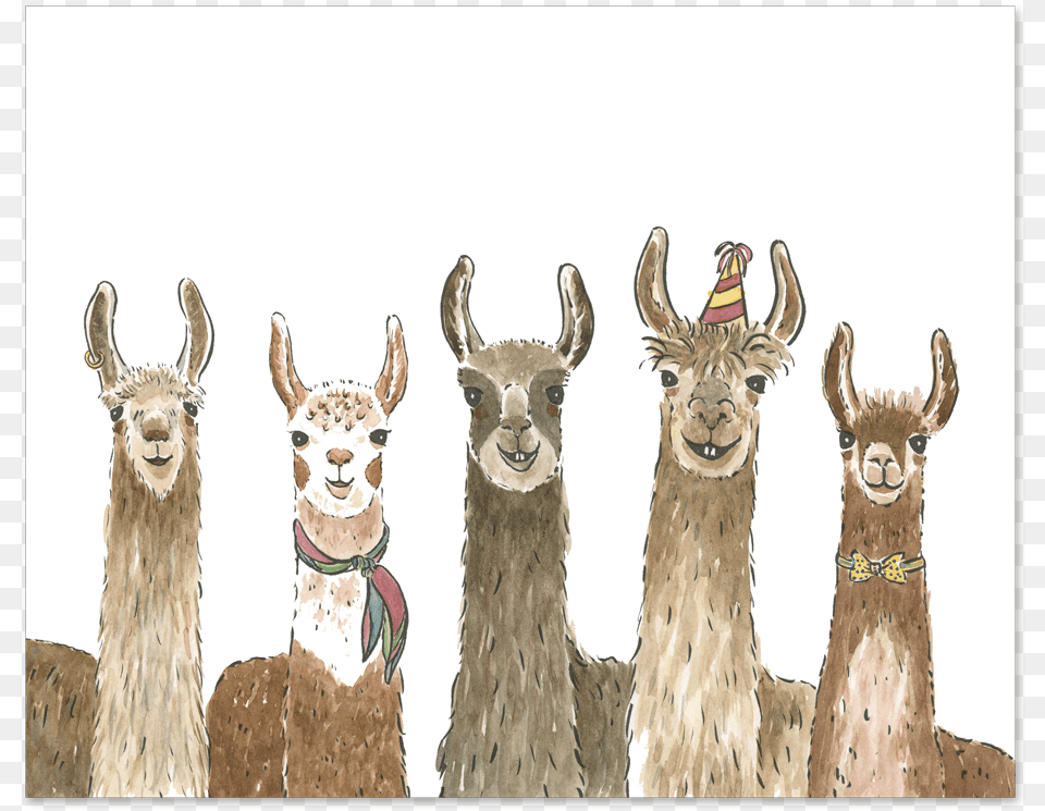 Party With These Llamas Llama Birthday Card, Animal, Mammal, Antelope, Wildlife Png Image