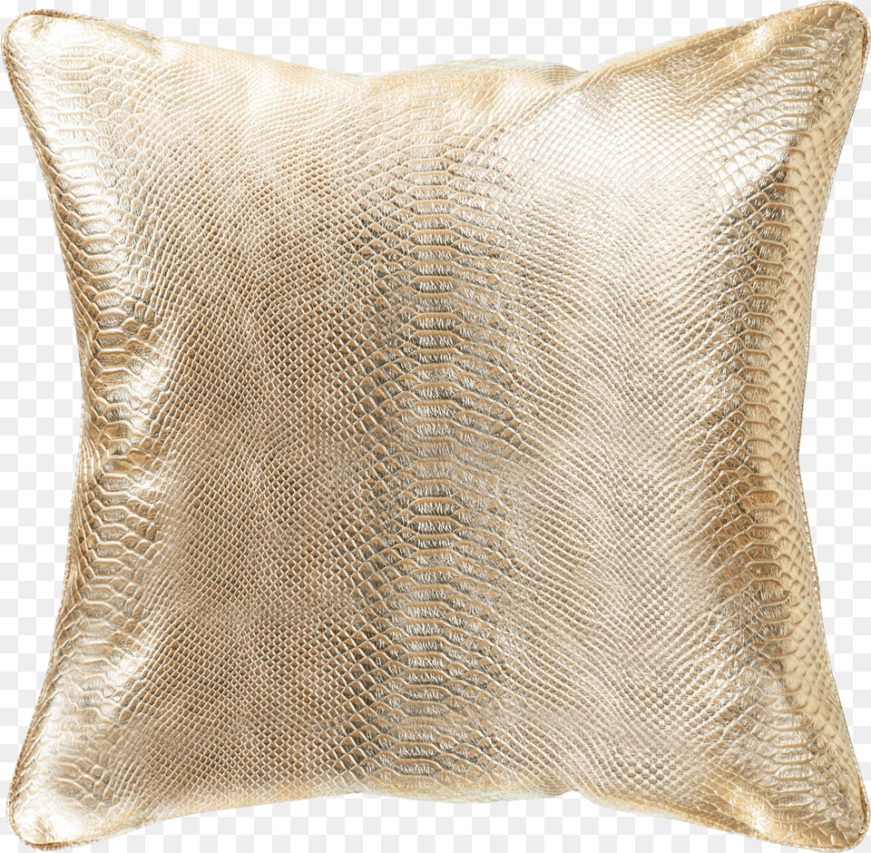 Pasargad Home Vicenza Gold Leather Pillow Chairish Flare, Adult, Publication, Person, Man Free Png Download