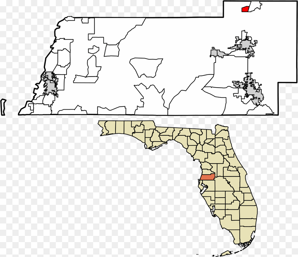 Pasco County Florida Incorporated And Unincorporated County Florida, Chart, Plot, Map, Atlas Free Png Download