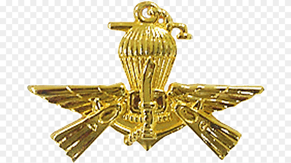 Paskal Pin Badge Paskal Badge, Logo, Symbol, Gold, Bronze Free Transparent Png