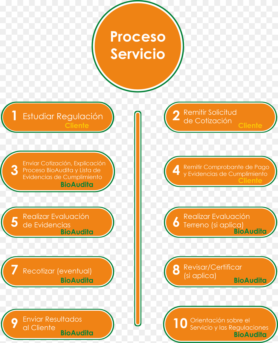 Pasos Proceso Bioaudita Lograr Un Servicio Eficiente, Text Png Image