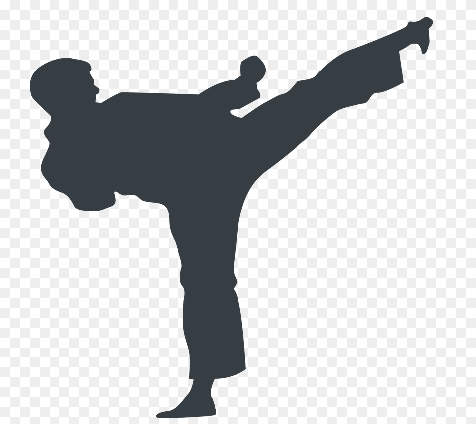 Pass The Hat Graphic Design, Martial Arts, Person, Sport, Adult Png Image