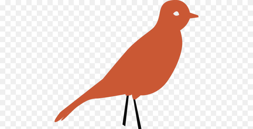 Passarinho Laranja Finch, Animal, Bird, Canary Free Png