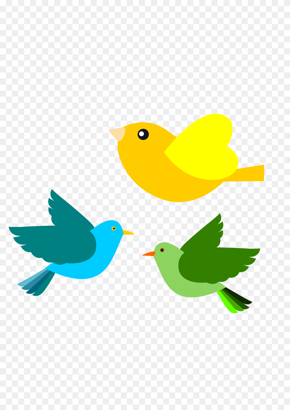 Passarinhos Birds, Animal, Bird, Canary Png Image